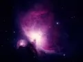 обои для рабочего стола: «The Orion Nebula»