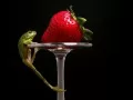 current picture: «Frog and a strawberry»
