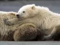  :  