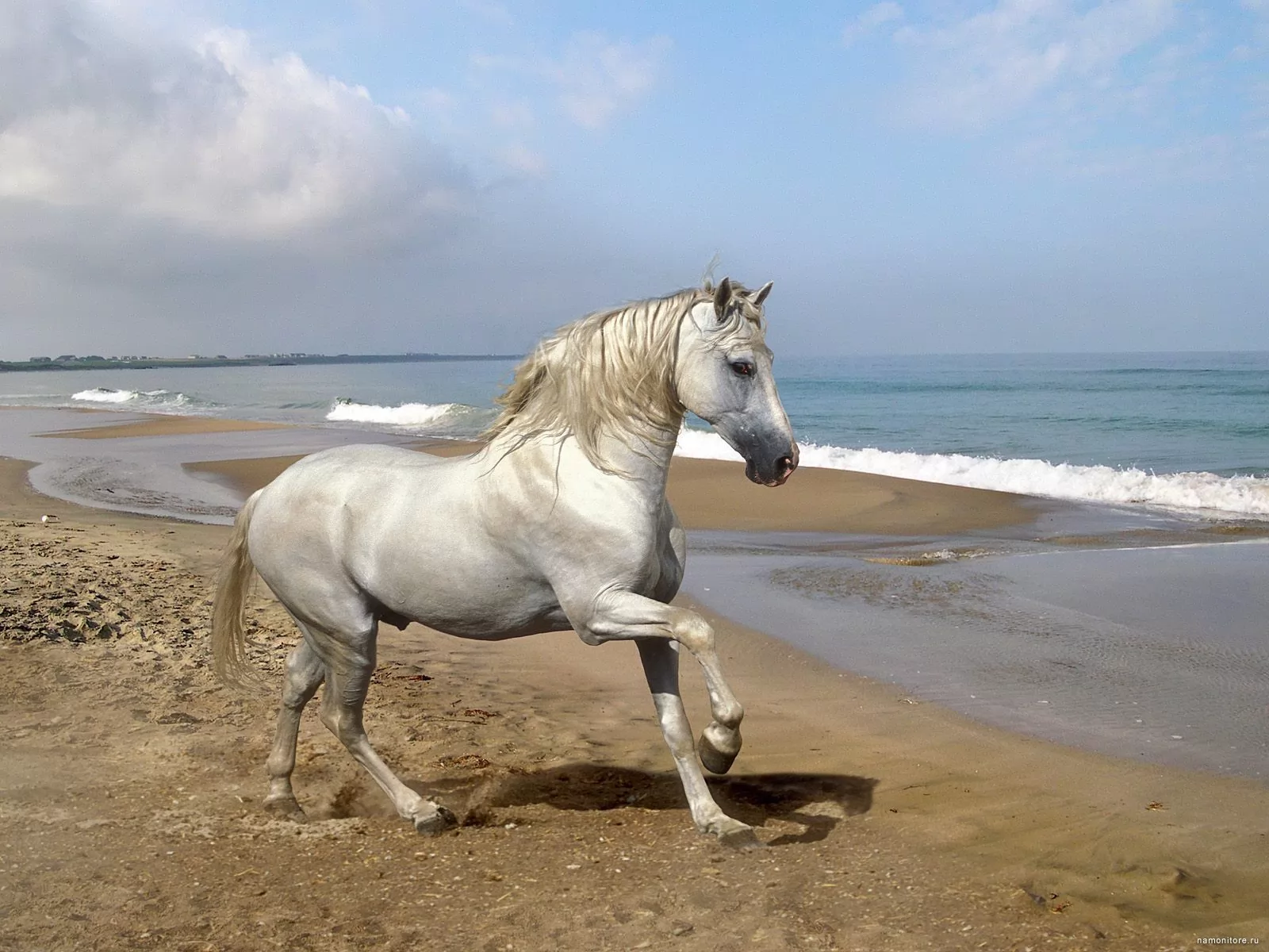 White Horse, , , , ,  