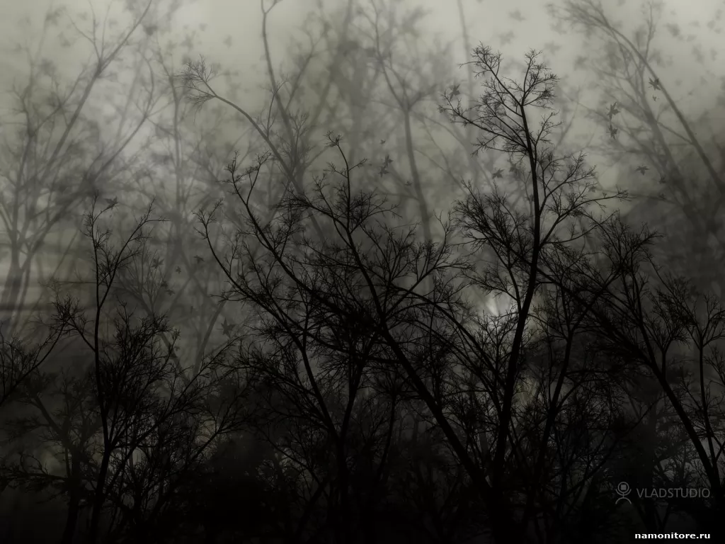 Emotion 3, лес, рисованное, серое, унылое, чёрно-белое, чёрное х