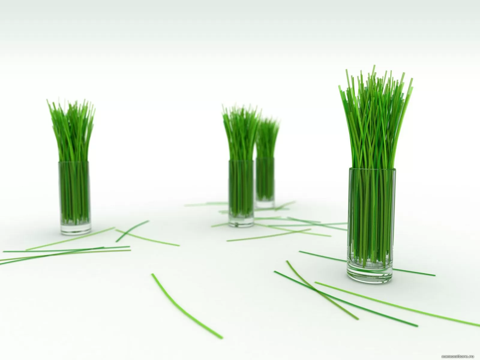 Kaktely, 3D, drawed, grass, white x
