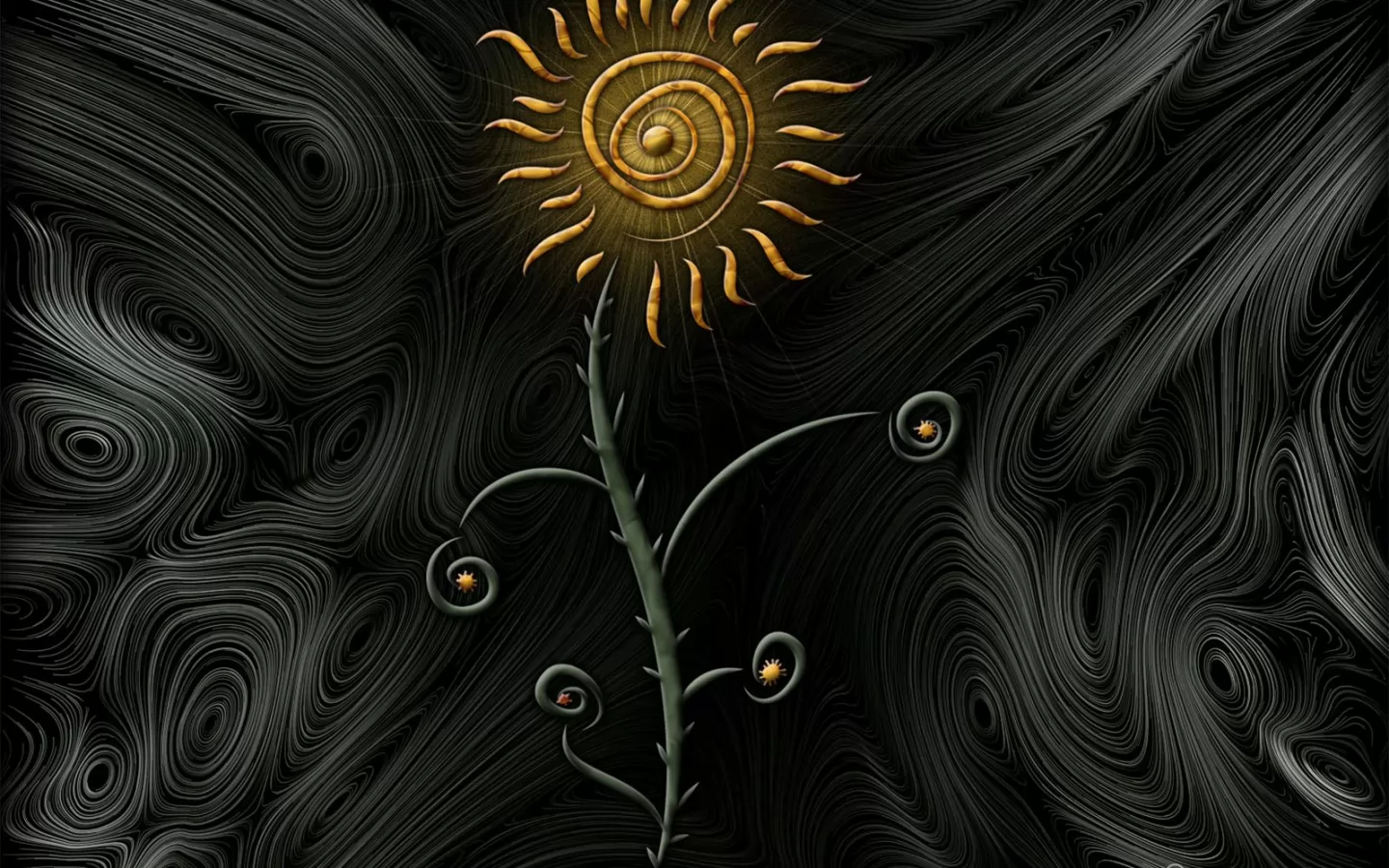 Sunflower, , ,  