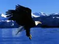Flight over water