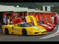 обои для рабочего стола: «Ferrari FXX Racing»
