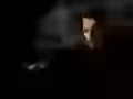 The Batman: the Beginning
