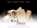 обои для рабочего стола: «Черная орхидея [Black Dahlia]»