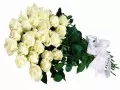 open picture: «White roses»