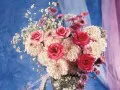 open picture: «Bouquet»
