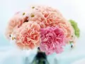 open picture: «Bouquet of carnations»
