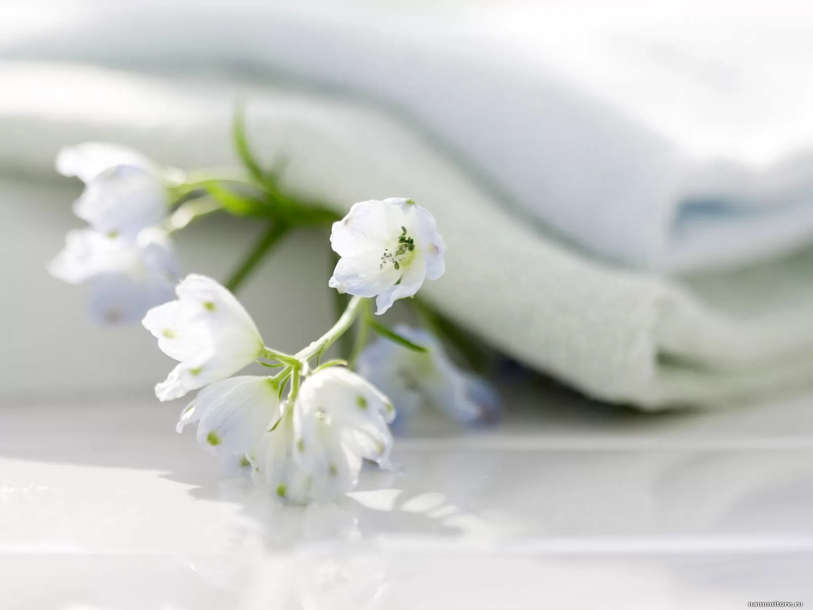 Шариковый антиперспирант нивея нежная свежесть. Свежесть утра. Природная свежесть. Дезодорант нивея женский шариковый. Дезодорант нивея женский розовый шариковый.