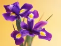 open picture: «Irises»