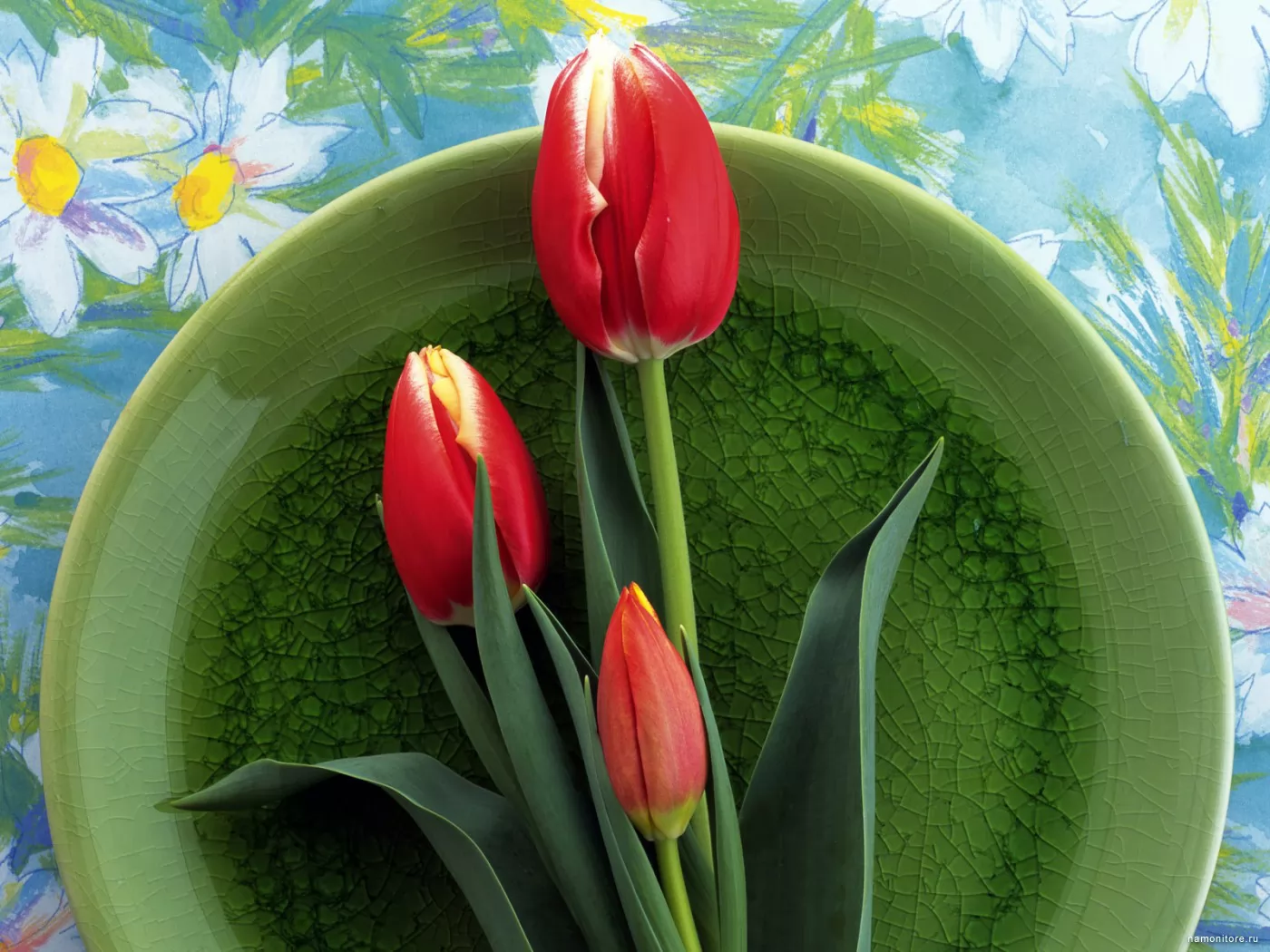 Композиция на тарелке, зеленое, тюльпаны, цветы х