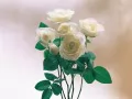 open picture: Roses