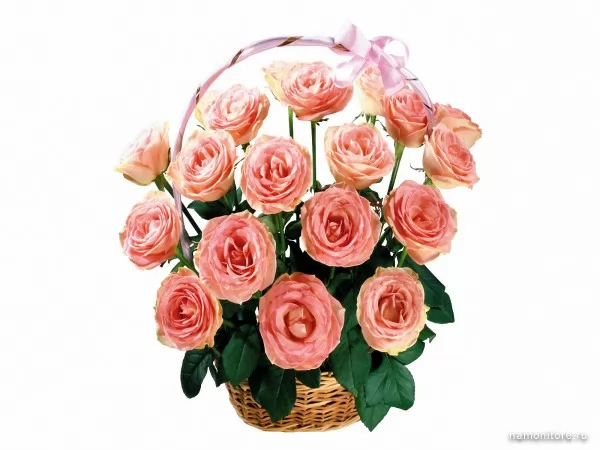 Roses in a basket, Flowers