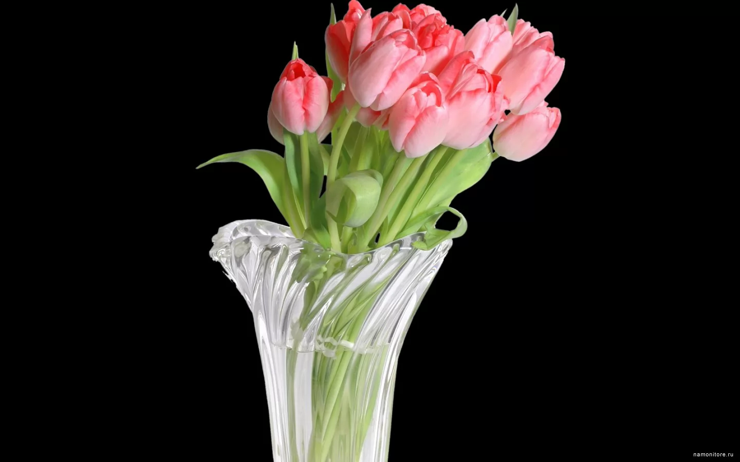 Тюльпаны в вазе на черном фоне