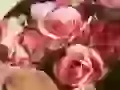 In a bouquet