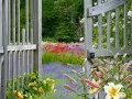 open picture: «Entrance in a garden»