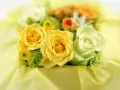 open picture: «Yellow and white roses»