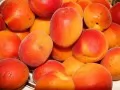 open picture: «Apricots»