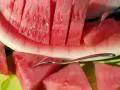 open picture: «Water-melon»