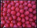 open picture: «Berries senior club. Raspberry berries»