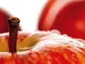 выбранное изображение: «Красные яблоки»
