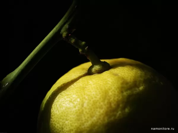 Лимон, Еда, вкусности