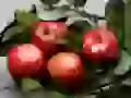 Bulk apples