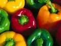 current picture: «Multi-coloured pepper»