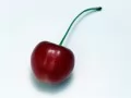 open picture: «The Ripe cherry»