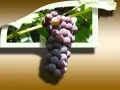 current picture: «Grapes»