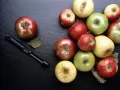 обои для рабочего стола: «Яблочный урожай»