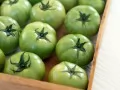 open picture: «Green tomatoes»