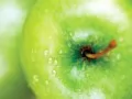 выбранное изображение: «Зеленое яблоко»