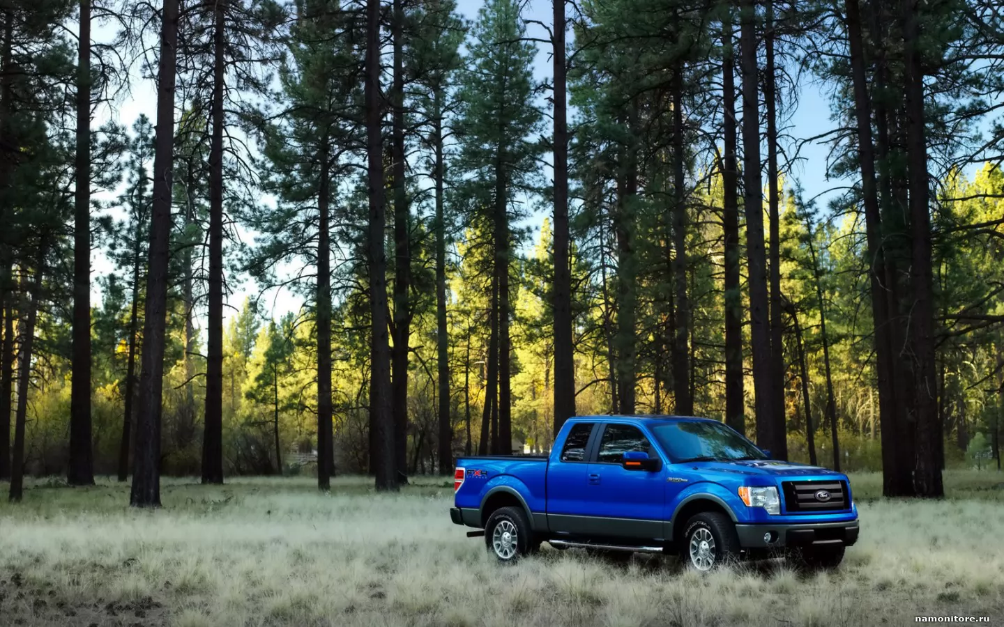 Ford F-150, Ford, , , , ,  