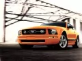 current picture: «Ford Mustang»