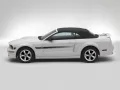 выбранное изображение: «Ford Mustang GT California Special вид сбоку»
