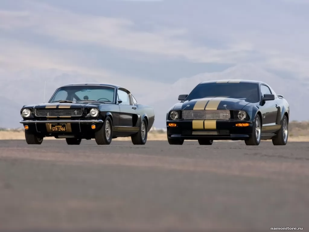 Ford Shelby GT-H Mustang, Ford, Mustang, , ,  