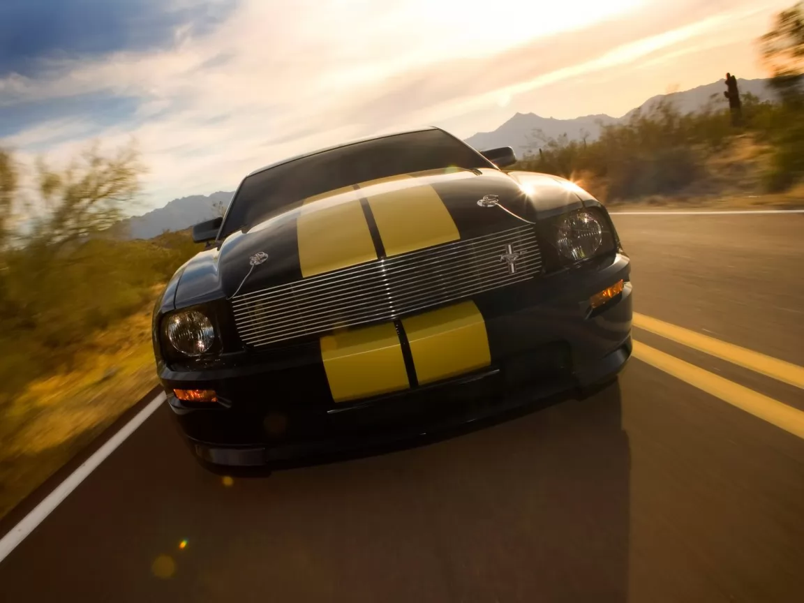Ford Shelby GT-H Mustang, Ford, Mustang, , , ,  