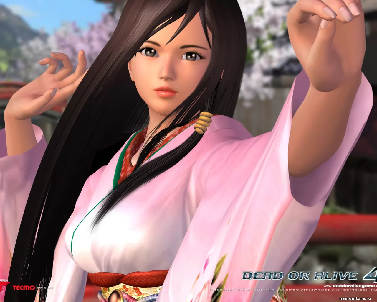 Dead or Alive 4, 3D, ,  ,  