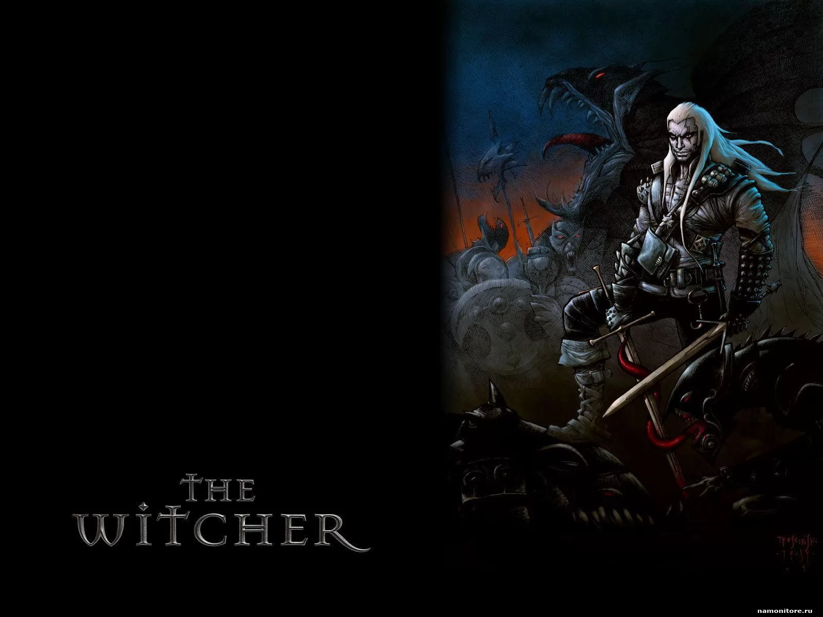 the Witcher,   