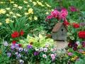 Starling house in thickets of colours