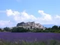 open picture: «City in Provence»