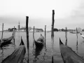 current picture: «Italy, Venice, gondolas»