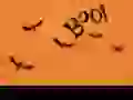Boo