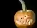 The Blood-thirsty pumpkin