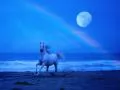 обои для рабочего стола: «Белая лошадь на побережье моря в свете луны»