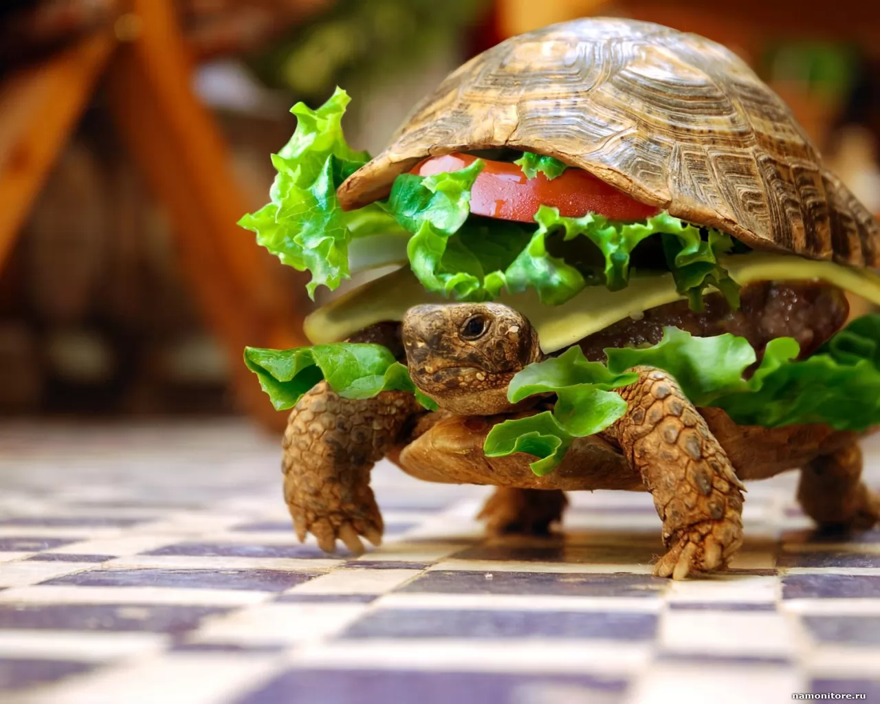 Cherepahaburger, best, humour, turtles x