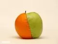 обои для рабочего стола: «Яблоко vs апельсин»